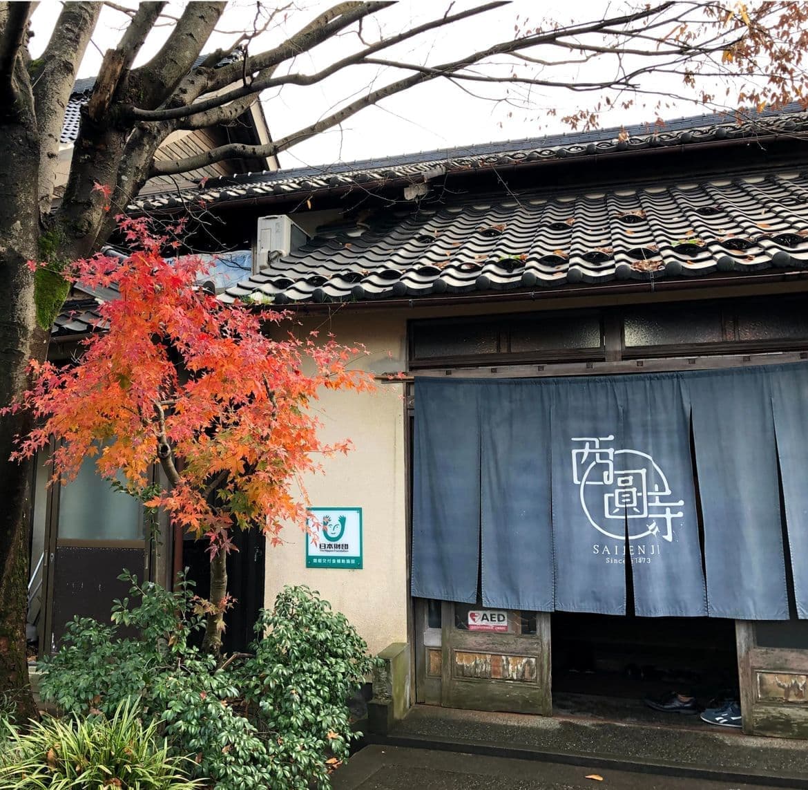 西園寺の落ち着いた雰囲気