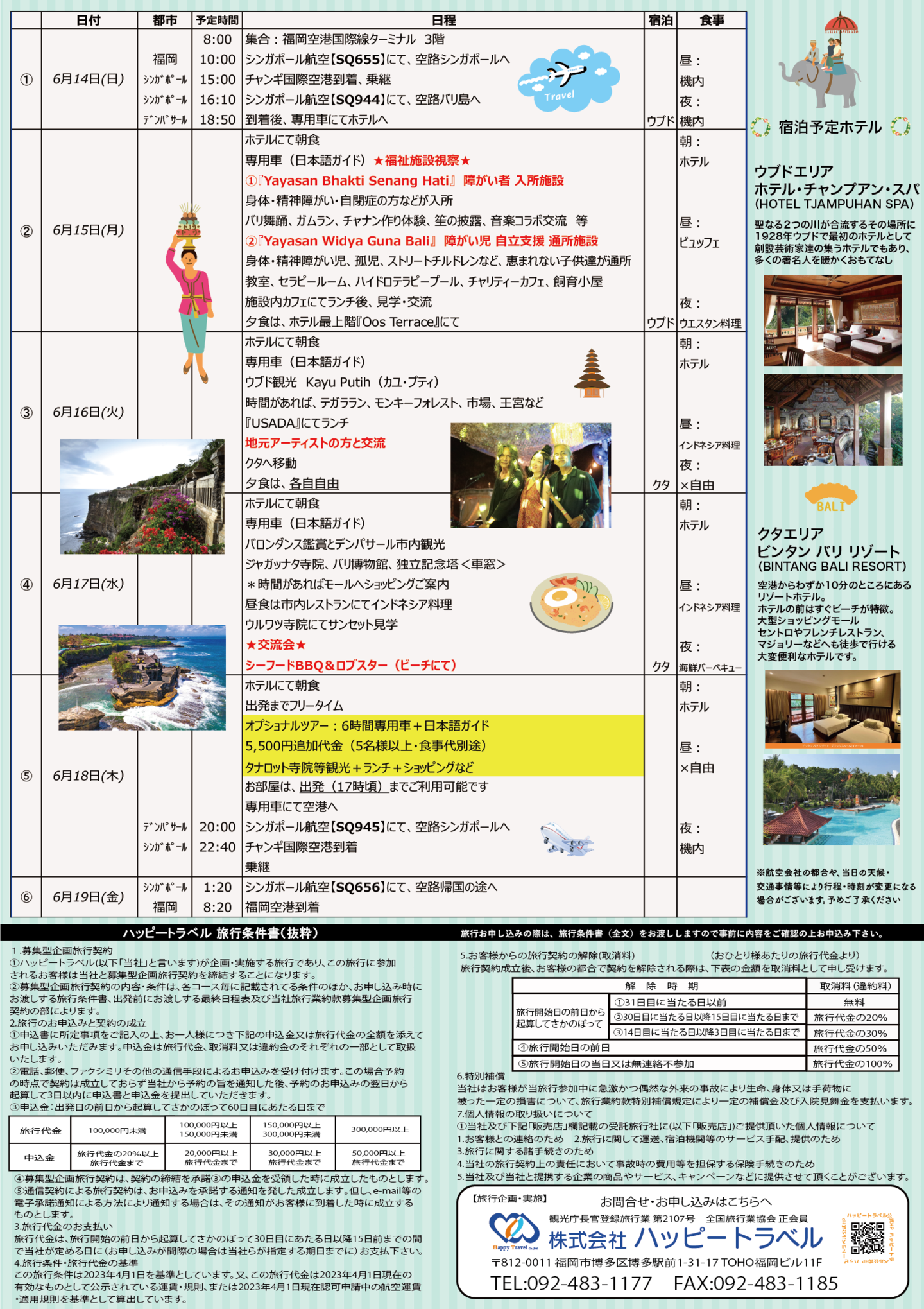 パンフレット裏